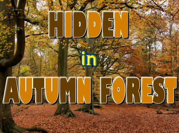 Hidden in Autumn Forest logo