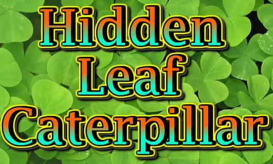 Hidden Leaf Caterpillar logo