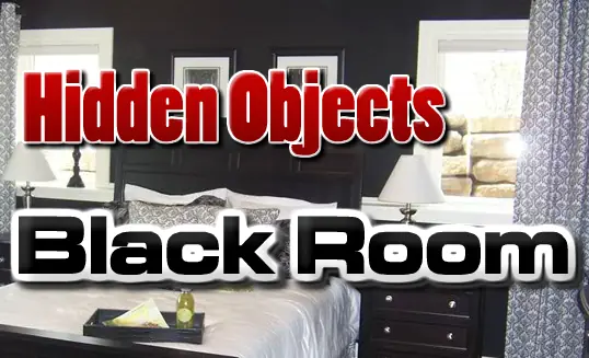Hidden Objects: Black Room logo