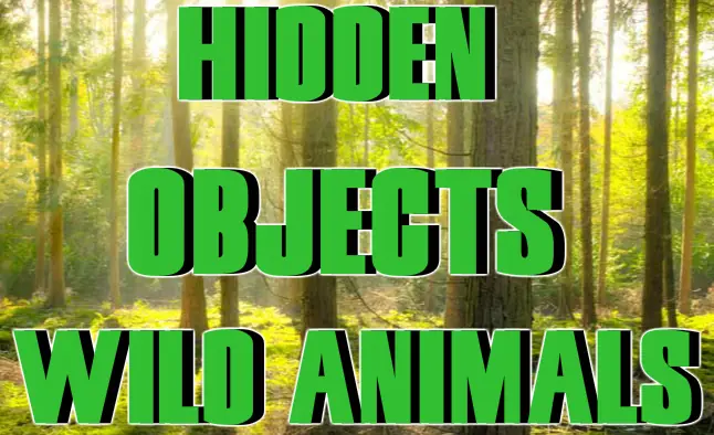 Hidden Objects Wild Animals logo