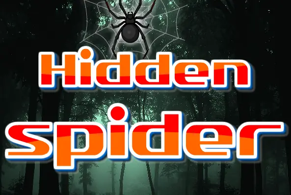 Hidden Spider logo
