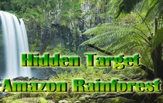 Hidden Target - Amazon Rainforest logo