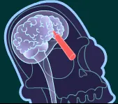 Homer Simpson X-Ray logo