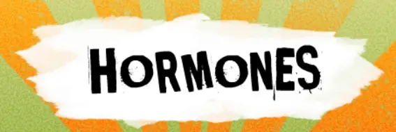 Hormones logo