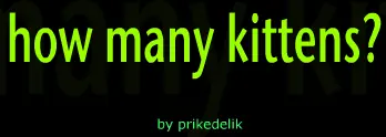 how many kittens? logo