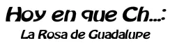 Hoy en Que Ch...: La Rosa De Guadalupe logo