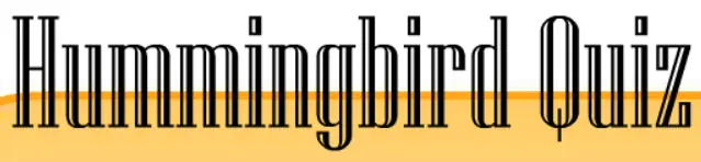 Hummingbird Quiz logo