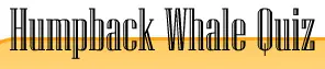 Humpback Whale Quiz logo