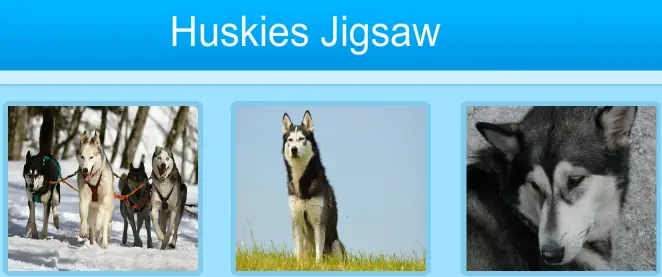 Huskies Jigsaw logo