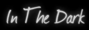 In The Dark logo