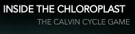 Inside the Chloroplast: The Calvin Cycle Game logo
