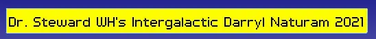 Intergalactic Darryl Naturam 2021 logo