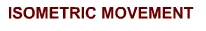 Isometric Movement logo