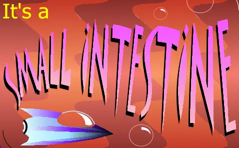It's a Small Intestine logo