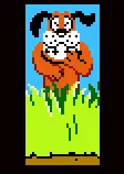 Jungle Duck hunt logo