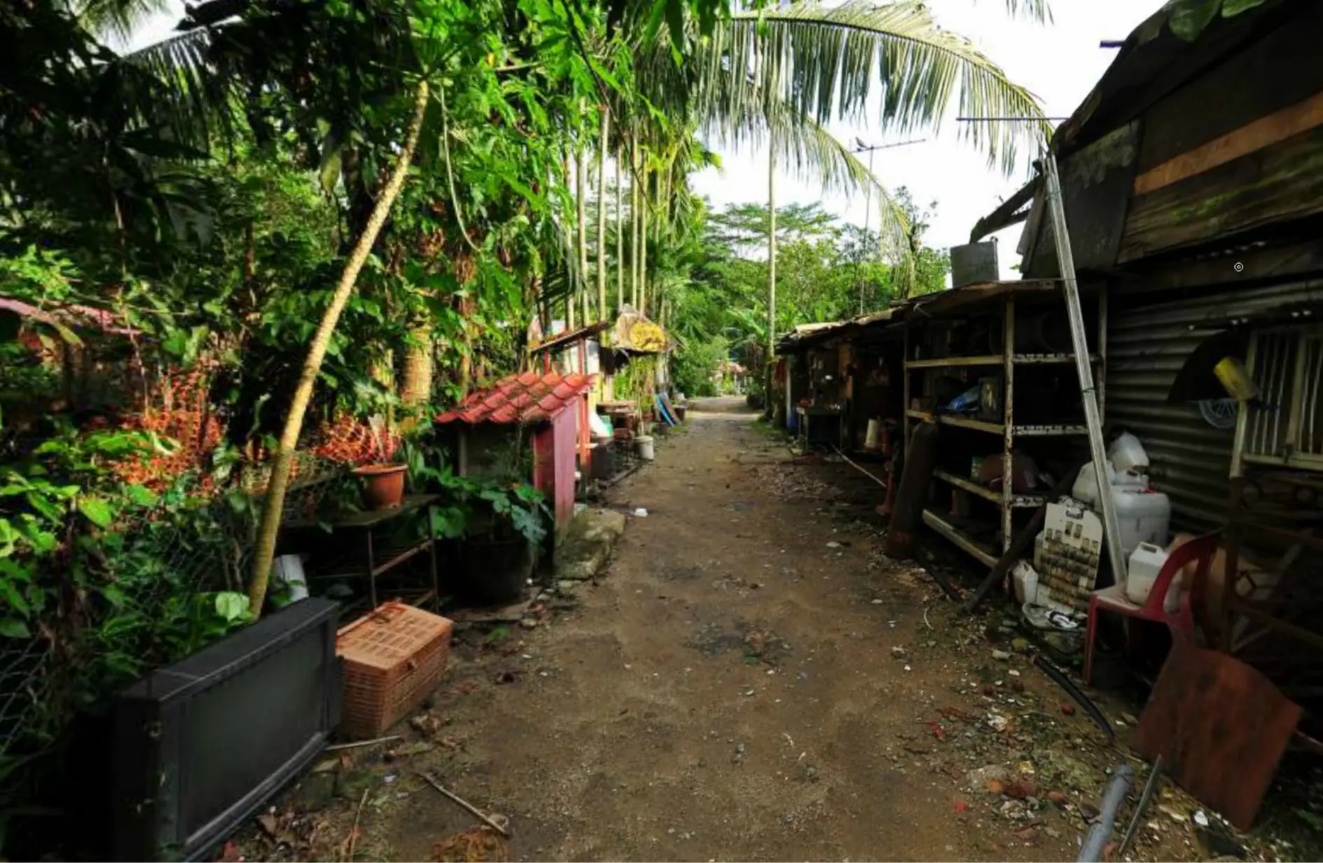Kampong Buangkok - Backyard logo