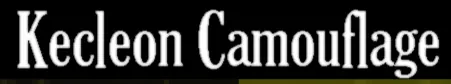 Kecleon Camouflage logo