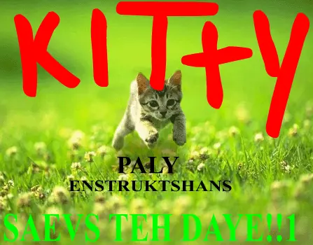 KITTY SAEVS TEH DAYE!!1 logo