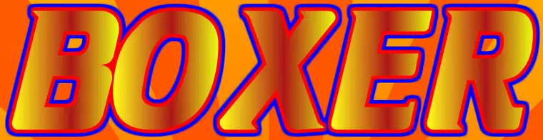 KK Boxing Game logo