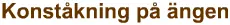 Konståkning med Bärtil logo