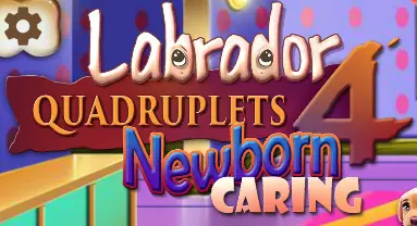 Labrador Quadruplets Newborn Caring logo
