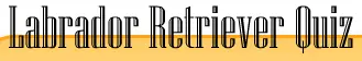 Labrador Retriever Quiz logo