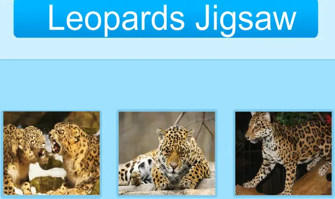 Leopards Jigsaw logo