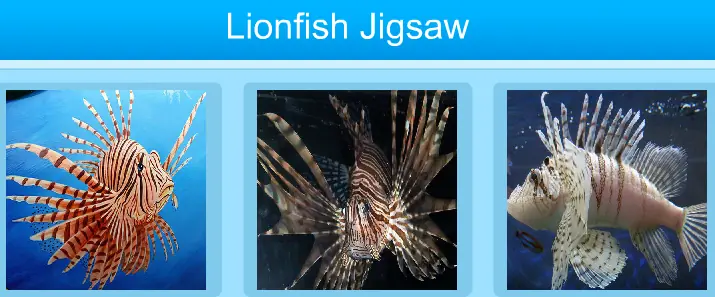 Lion Fish Jigsaw logo