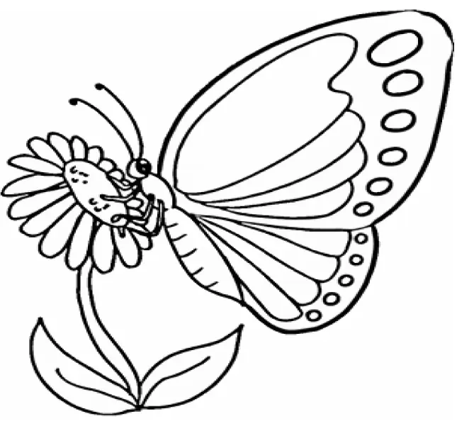 Little Butterfly Coloring logo