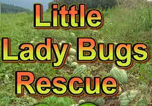 Little Lady Bugs Rescue logo
