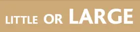 Little or Large logo