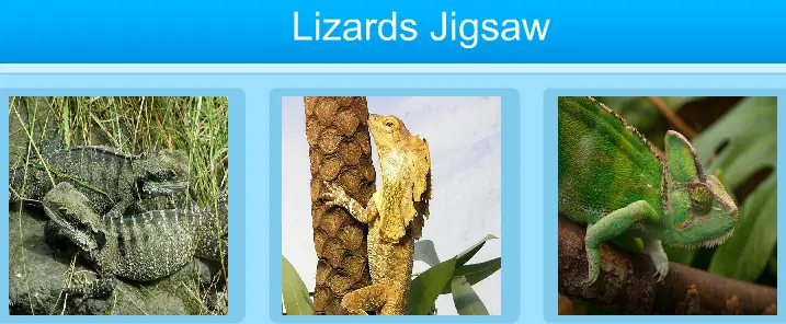 Lizards Jigsaw logo