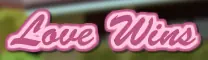Love Wins logo