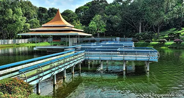 MacRitchie Reservoir Park - Sunset Virtual Reality Image logo