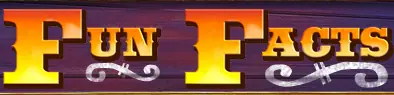 Madagascar 3: Europe's Most Wanted Fun Facts logo