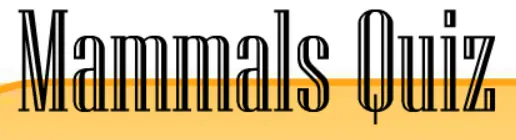 Mammals Quiz logo
