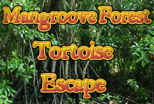Mangroove Forest Tortoise Escape logo