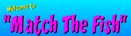 Match the Fish logo