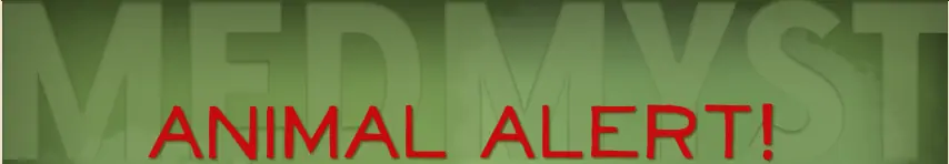 MedMyst Animal Alert logo