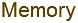 Memory logo