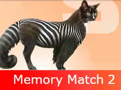 Memory Match 2 logo