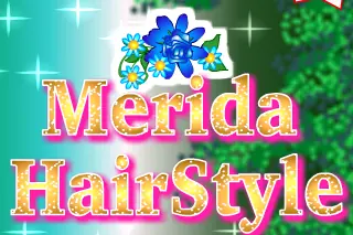 Merida Hairstyle logo