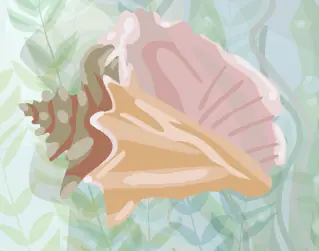Mermaid Daydreams logo