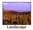 Mexican Geography - Landscape logo