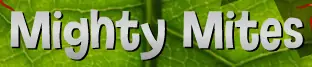 Mighty Mites logo