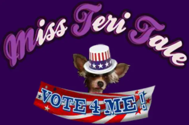 Miss Teri Tale: Vote 4 Me! logo