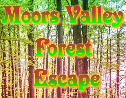 Moors Valley Forest Escape logo