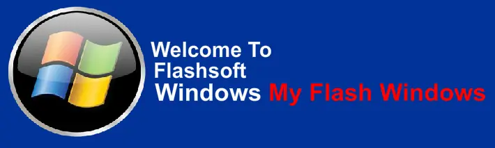My Flash Windows Version logo