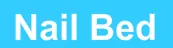 Nail Bed logo