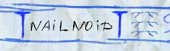 Nailnoid logo